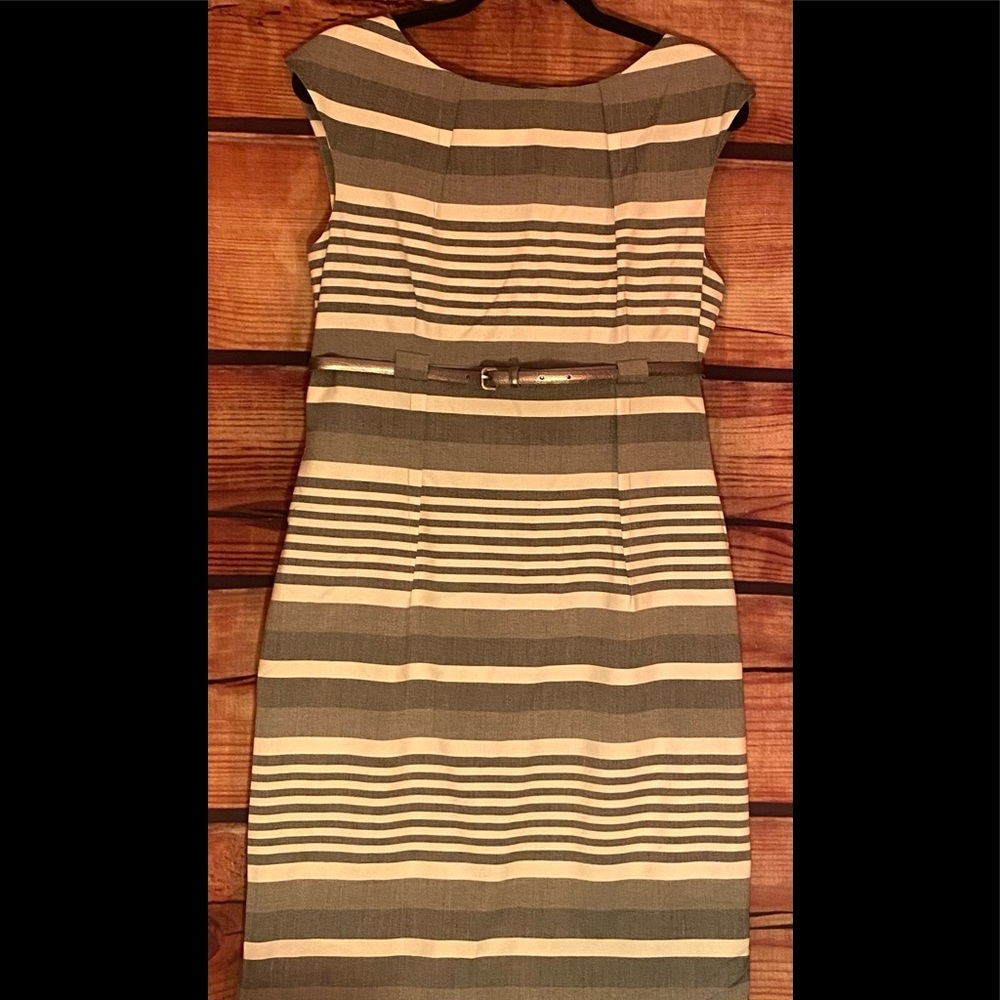 Women’s Sz 12 “Calvin Klein” Knee-Length Grey/White Belted Sheath Dress